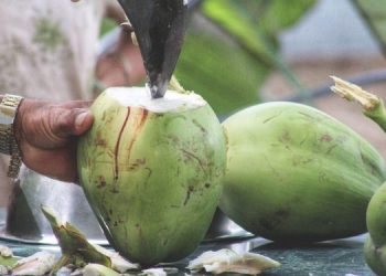 Tak Selalu Baik, Ini Bahaya Mengonsumsi Air Kelapa Berlebihan