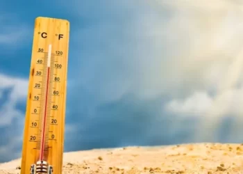 Gelombang Panas Menghantam Asia: Ancaman Nyata Perubahan Iklim