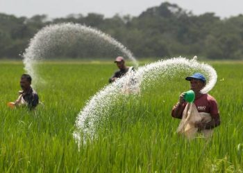 Mentan Ajak Petani Tebus Pupuk Subsidi yang Berlimpah
