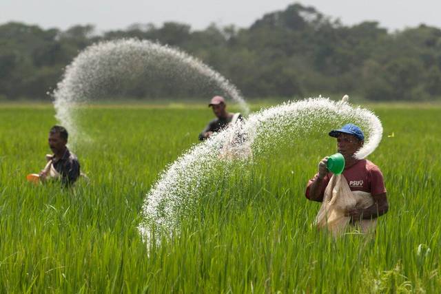 Mentan Ajak Petani Tebus Pupuk Subsidi yang Berlimpah