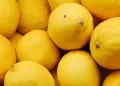 5 Manfaat Lemon untuk Kesehatan, Coba Aja Dulu dan Rasakan Manfaatnya