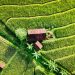 5 Tips Menabung Supaya Kamu Tetap Bisa Travelling ke Tempat yang Diinginkan