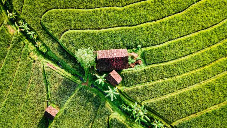 5 Tips Menabung Supaya Kamu Tetap Bisa Travelling ke Tempat yang Diinginkan