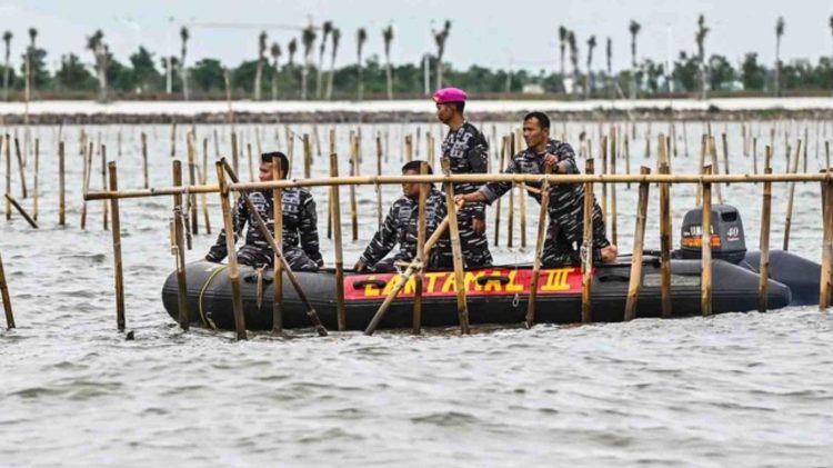 Bongkar Pagar Laut di Tangerang Tanpa Koordinasi, KKP Sesalkan Tindakan TNI AL