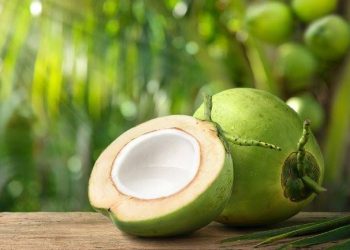 Ini Manfaat Buah Kelapa untuk Tubuh saat Berpuasa