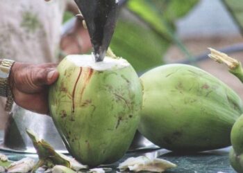 Tak Selalu Baik, Ini Bahaya Mengonsumsi Air Kelapa Berlebihan
