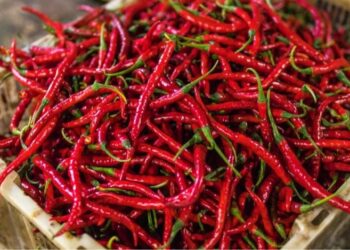Bapanas: Harga Pangan Awal Agustus 2025 Didominasi Kenaikan