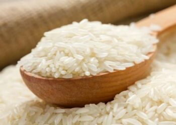 Sehatkah Makan Mie Bersama Nasi?