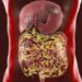 Seamoss Gel, Tren Superfood yang Kian Digemari untuk Kesehatan Tubuh