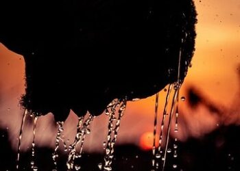 Mandi Fajar, Kebiasaan Rasulullah yang Didukung Sains Modern