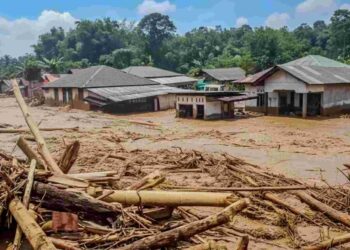 4 Perusahaan Disegel Terkait Dugaan Penyebab Banjir Sumatera, KLH Periksa 8 Perusahaan di DAS Batang Toru