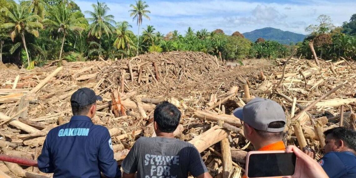 KLH Pastikan Kayu Gelondongan Banjir Sumut Hasil Penebangan, Operasional 4 Perusahaan Dihentikan Sementara