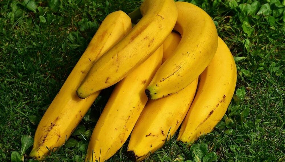 Makanan yang Dianjurkan untuk Anak Saat Diare, Orang Tua Diminta Tidak Panik