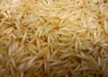 Tak Hanya Lezat, Ini Manfaat Beras Briyani untuk Kesehatan Tubuh