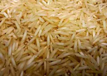 Tak Hanya Lezat, Ini Manfaat Beras Briyani untuk Kesehatan Tubuh
