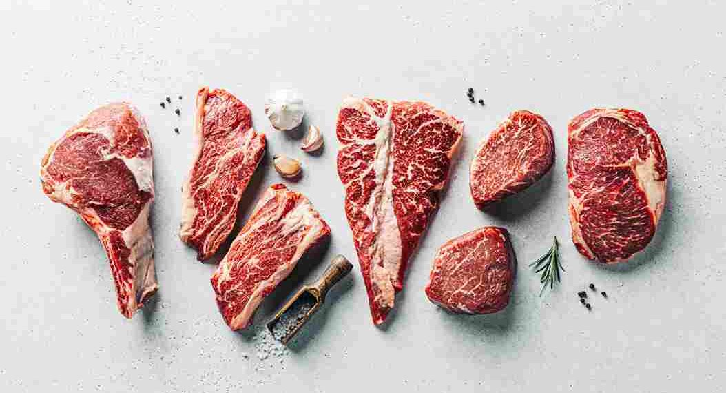 Diet Carnivora: Manfaat, Risiko, dan Fakta Ilmiah Pola Makan Tanpa Karbohidrat