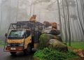 Harga Tiket Taman Safari Prigen Terbaru, Cek Sebelum Berkunjung